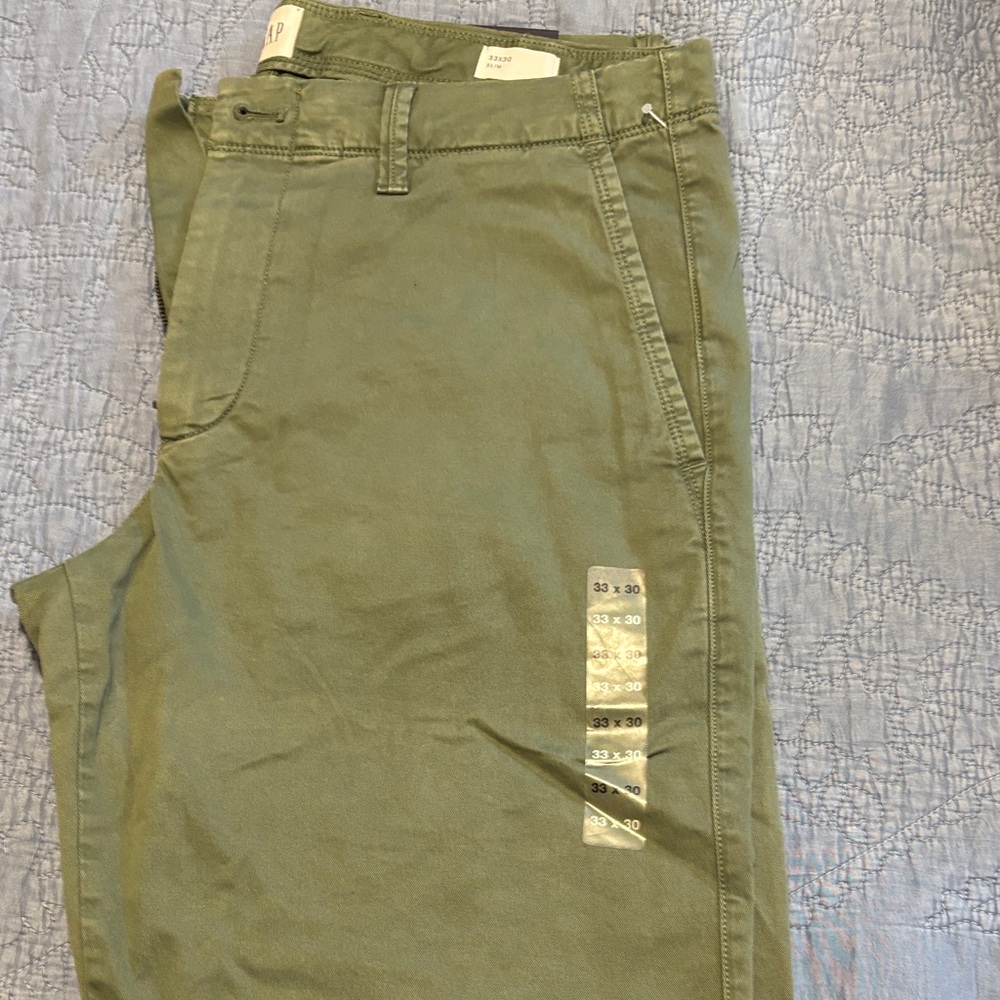 GAP Men's Sage Green Chinos